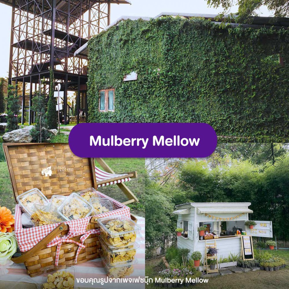 คาเฟ่ , คาเฟ่กาญจนบุรี  , เที่ยวกาญนบุรี , ที่เที่ยวกาญ , กาญจนบุรี, เที่ยวคาเฟ่, Cafe